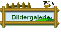 Bildergalerie