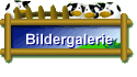 Bildergalerie